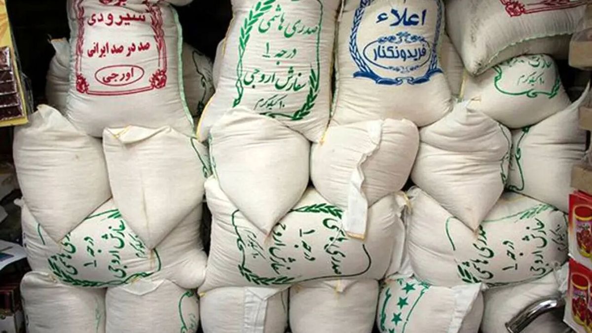 قیمت برنج پاکستانی از ایرانی گرانتر شد! | قیمت روز برنج پاکستانی